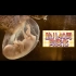 【胎儿发育】三分钟看完超声记录胎儿40周的发育全过程!