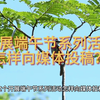 开展端午节系列活动怎样向媒体投稿