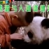 熊猫与人和谐相处