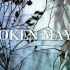 【歌词MV】《broken maybe》by WiFi歪歪