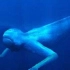 海底竟有如此恐怖的生物#美丽水世界#Subnautica
