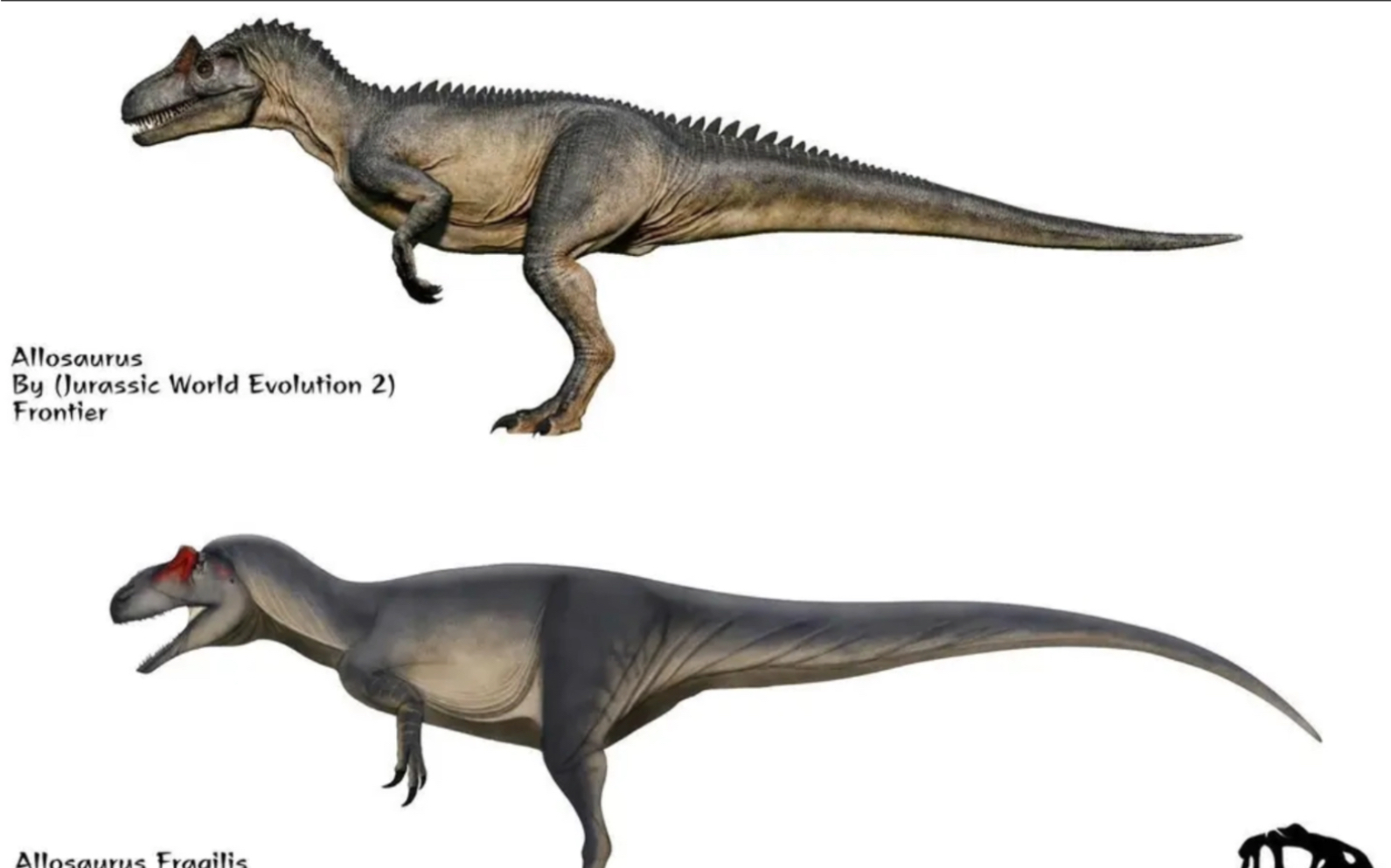 侏罗纪公园恐龙与真实恐龙的差距有多大
