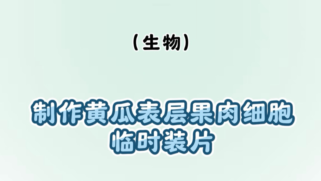 Day 67｜制作黄瓜表层果肉细胞临时装片