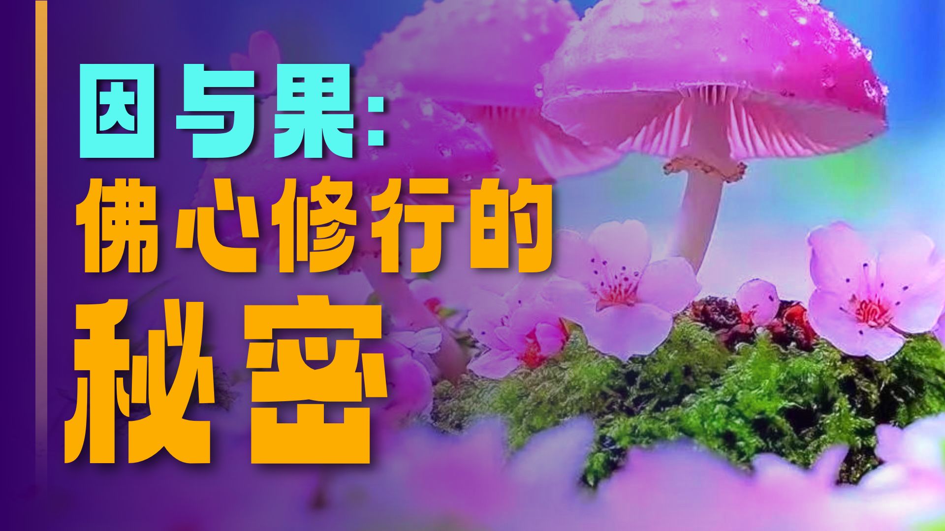 体佛法师开示：因心果觉