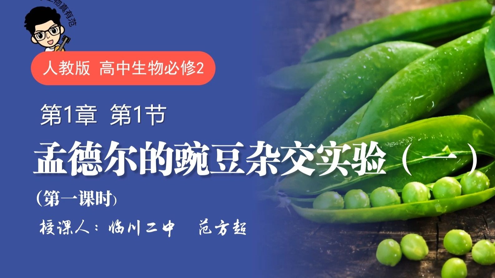 1.1孟德尔的豌豆杂交实验（一） 第1节课