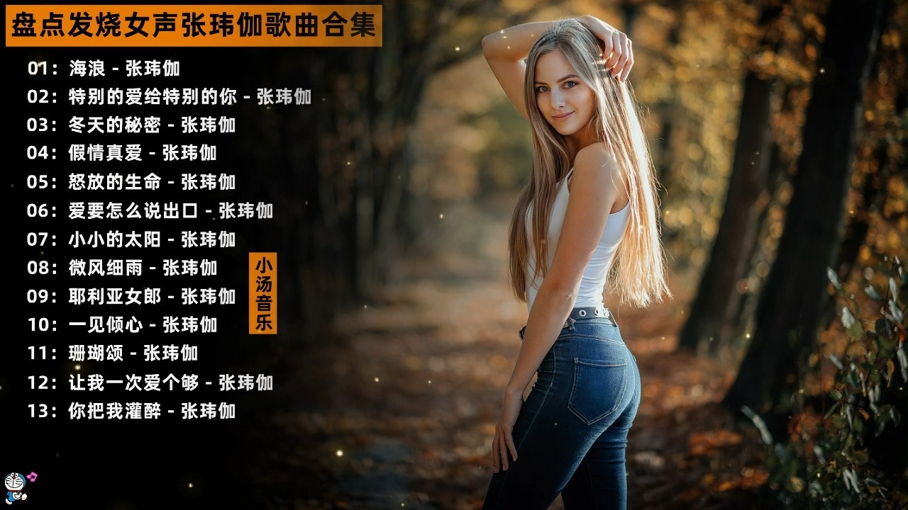 盘点车载女王发烧女声张玮伽经典歌曲合集，极致FIHI音质！