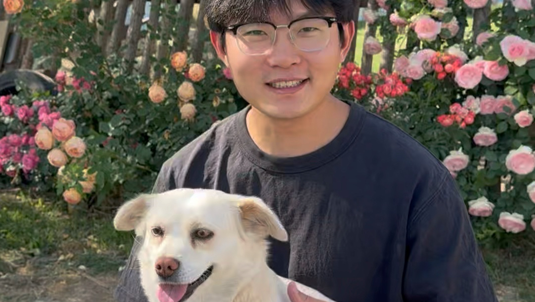 我发誓只养一只狗