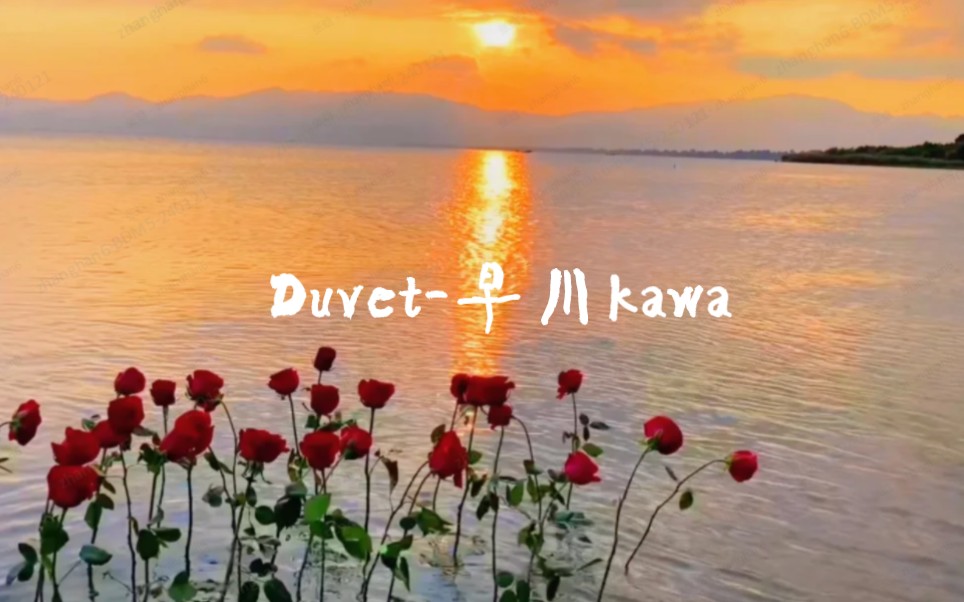 【早川kawa】Duvet 翻唱哔哩哔哩bilibili