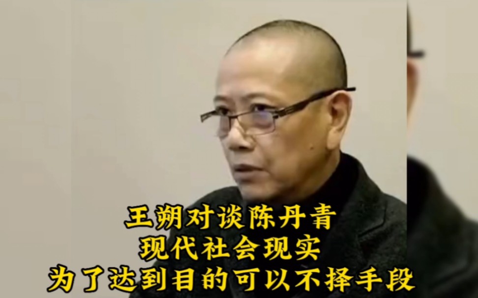 王朔对谈陈丹青，现代社会现实，为了达到目的可以不择手段。