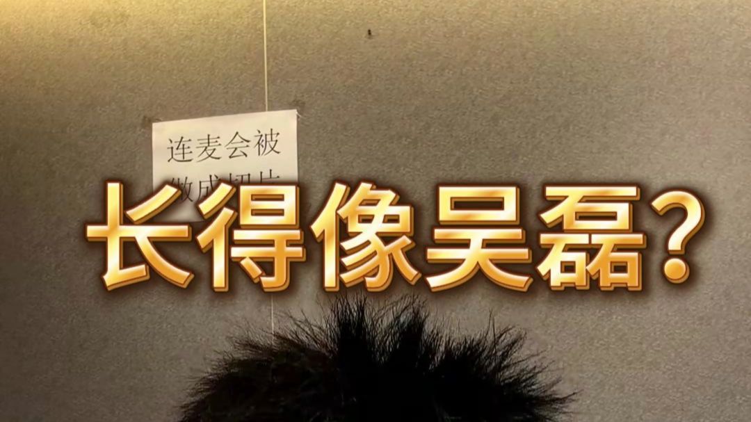 长得像吴磊？