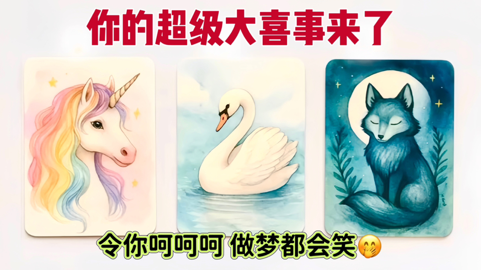 字幕下载