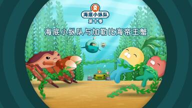 第十季13<em class="keyword">海底小纵队</em>与加勒比海帝王蟹
