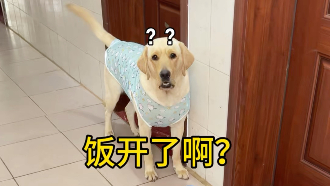 词没说对不开饭