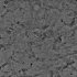 【纳米技术】透射电镜原位观测碳纳米管（CNT）的生长