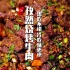 重庆人做牛肉确实好吃，孜然烧烤牛肉，做出了正宗街头烧烤的味道