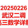 20250226武汉二调高三数学试卷详解