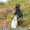 12岁的哥哥独自抚养3个弟弟妹妹