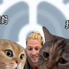 【云视听小电视-官方】最新视频来袭，快来看看吧