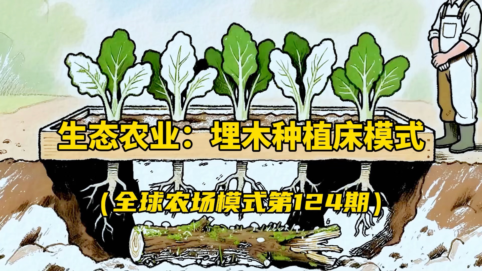 全球家庭农场生态农业技术：埋木种植床模式！