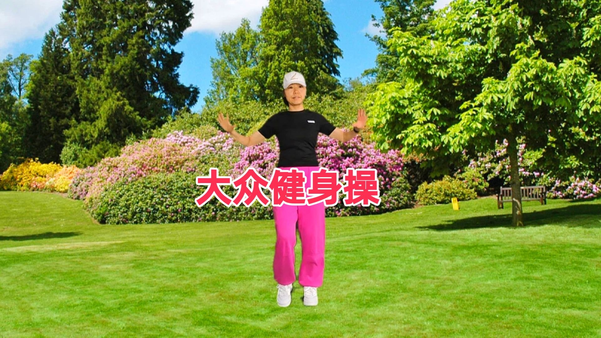 新手入门必学，健身操天花板