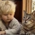 【萌宠合集】小猫把人类孩子当成自己的孩子 拼命的保护婴儿的小猫（油管搬运）