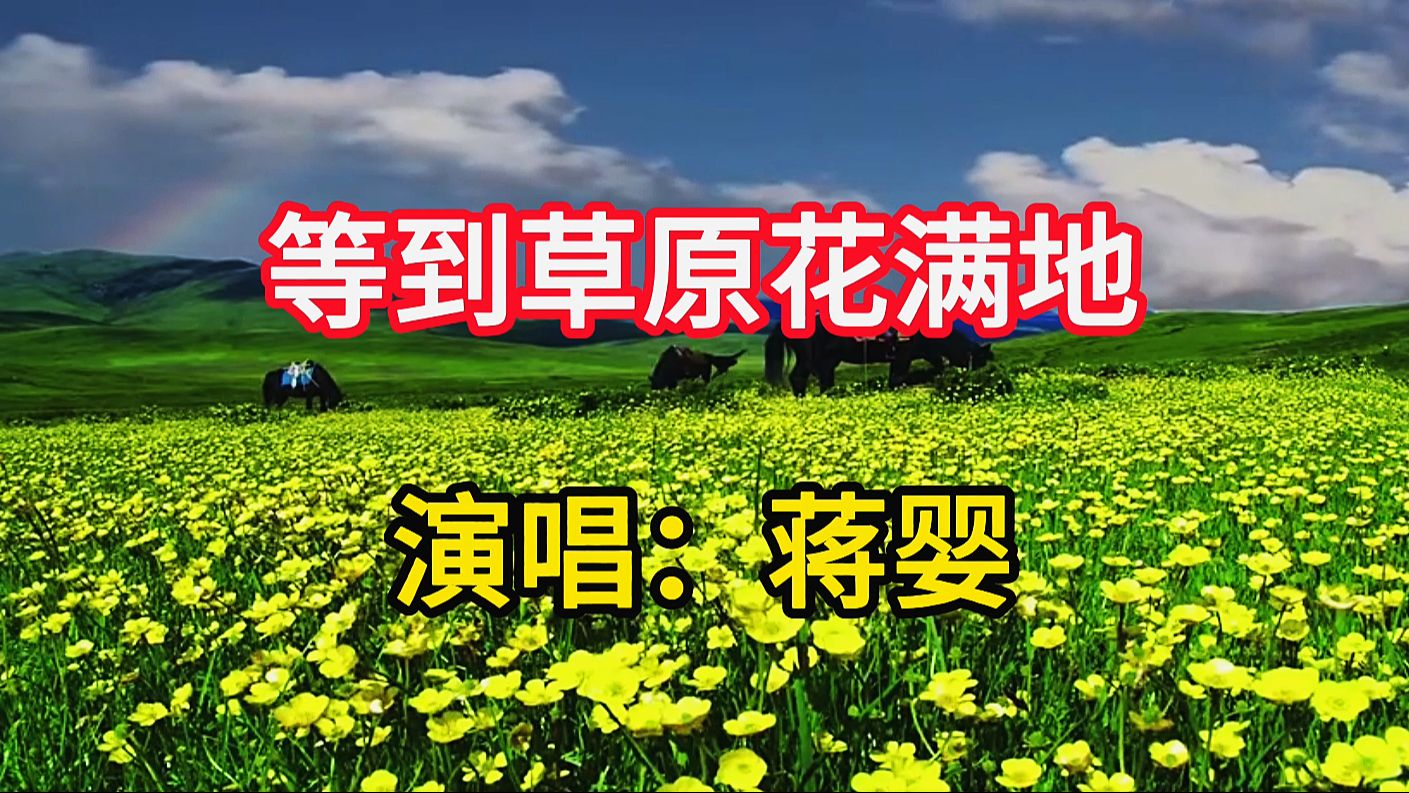 蒋婴演唱《等到草原花满地》，悠扬动听的歌声，唱出对爱情的向往