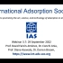 IAS Webinar 3.7_On the use of the BET Area: Panel Discussion