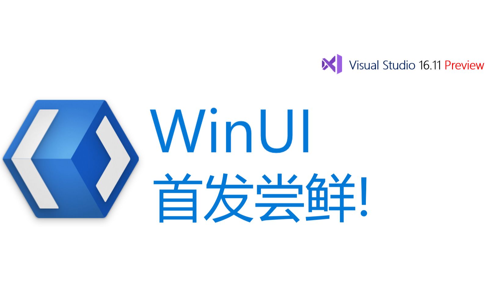 【全站首发】【.NET】真正的 WinUI3 开发初体验！