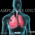 医学动画：人体的肺是如何进行呼吸？完成氧与二氧化碳的交换