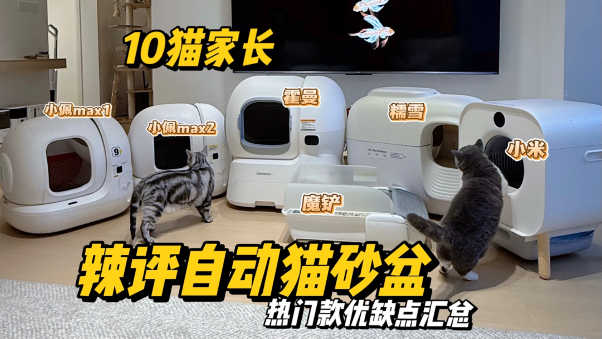 来自10猫资深自动猫砂盆用户的辣评，看看哪台适合你家猫猫