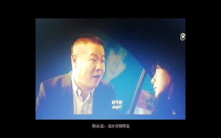 燕子你带我走吧燕子末班车翻唱自剪mv