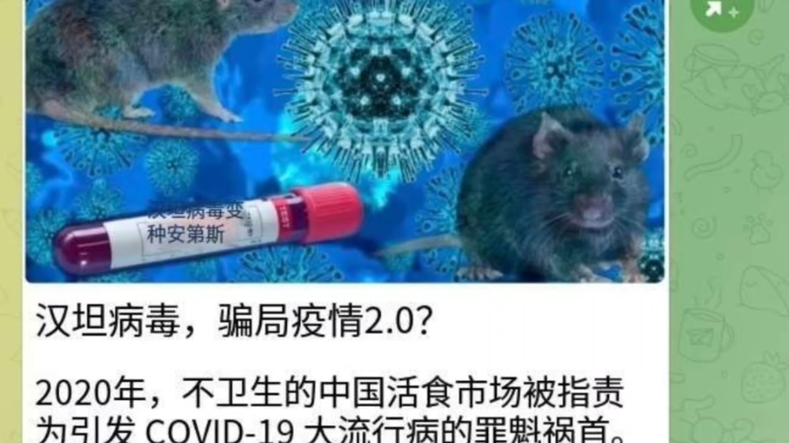 汉坦病毒，骗局疫情2.0?
