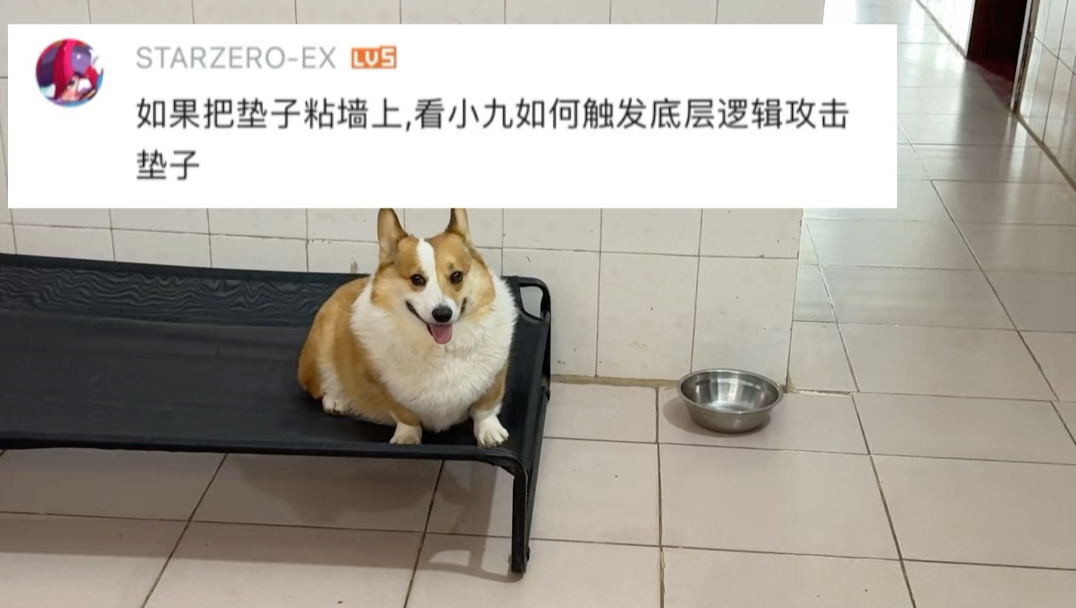 今天代码运行方式过于诡异