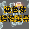 【必修二 · 同步课】5-2-2-染色体结构变异