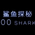 【纪录片】鲨鱼探秘【汉语中字】