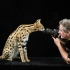 【英文字幕】美国国家地理动物摄影师乔尔·萨托 Wildlife Photographer_ Joel Sartore _