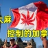 被大麻“控制”的加拿大，七分之一的人都吸过大麻 ！（一）