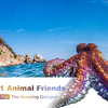 新人教英语七下Unit1 Animal Friends Reading Plus 拓展阅读课，Amazing Octopus