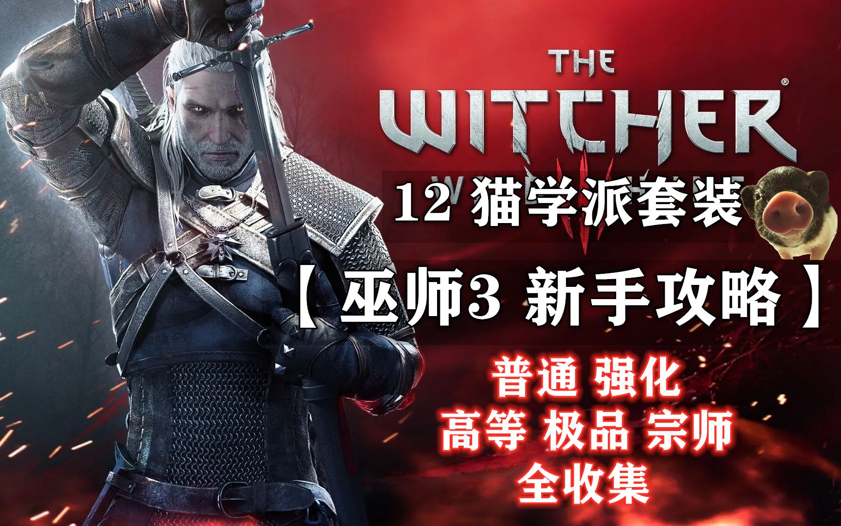 【巫师3 新手攻略】 12 猫学派套装（全收集）