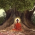 《佛陀》释迦牟尼觉悟和成佛全过程，阿弥陀佛