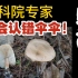 不要小看蘑菇的鉴别难度，专家也会认错伞伞——《线上采蘑菇》互动视频の圣地巡礼