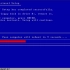 Windows XP Professional (WhistleR) Build 2517 安装
