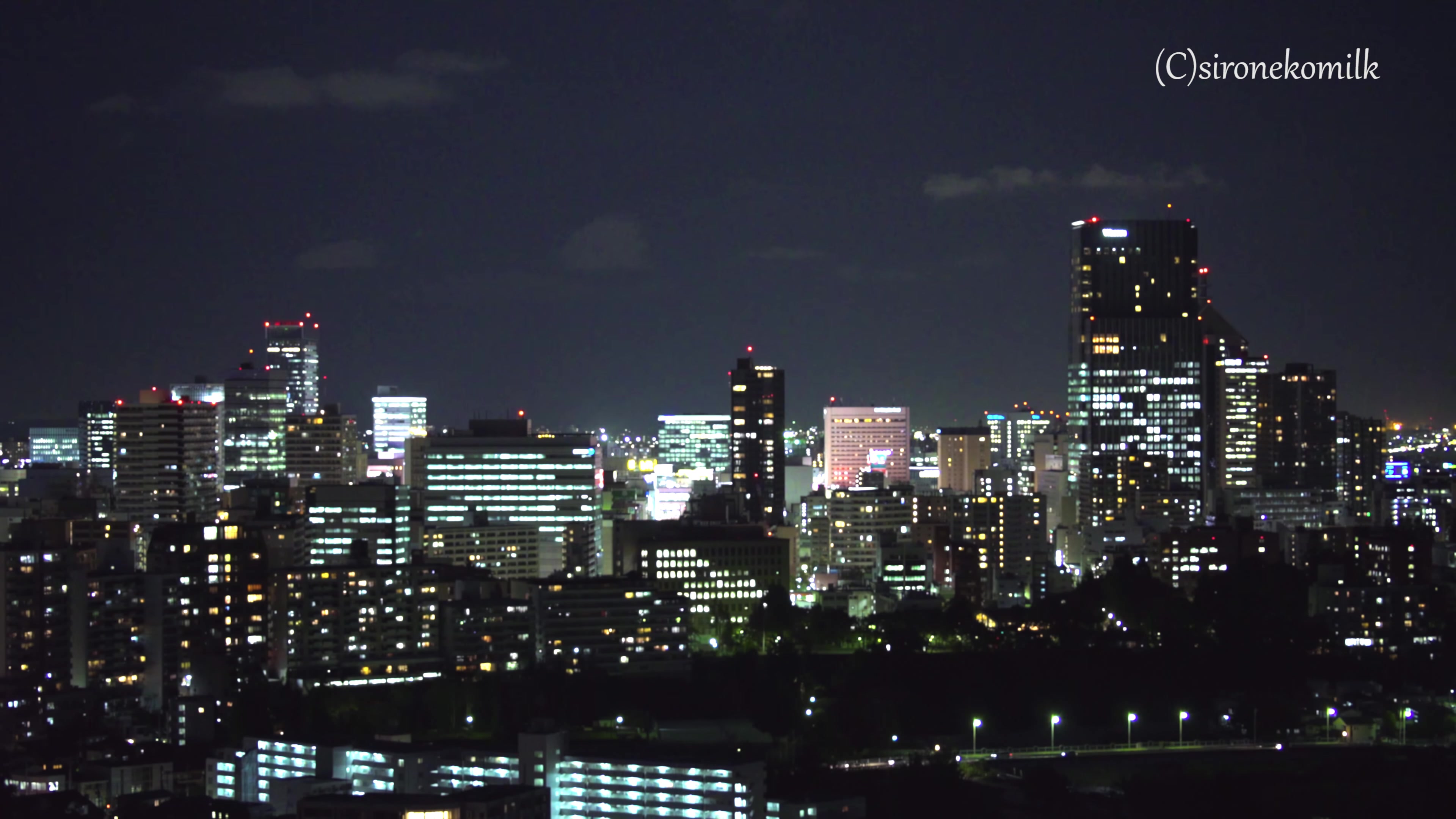 仙台城迹(青叶城址)和仙台市街夜景 night view of sendai city