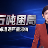 “从6元跌到1元 还是卖不出”，7万吨杨梅销路遇冷，杨梅协会会长：问题杨梅已销毁，在售杨梅全部附带溯源码