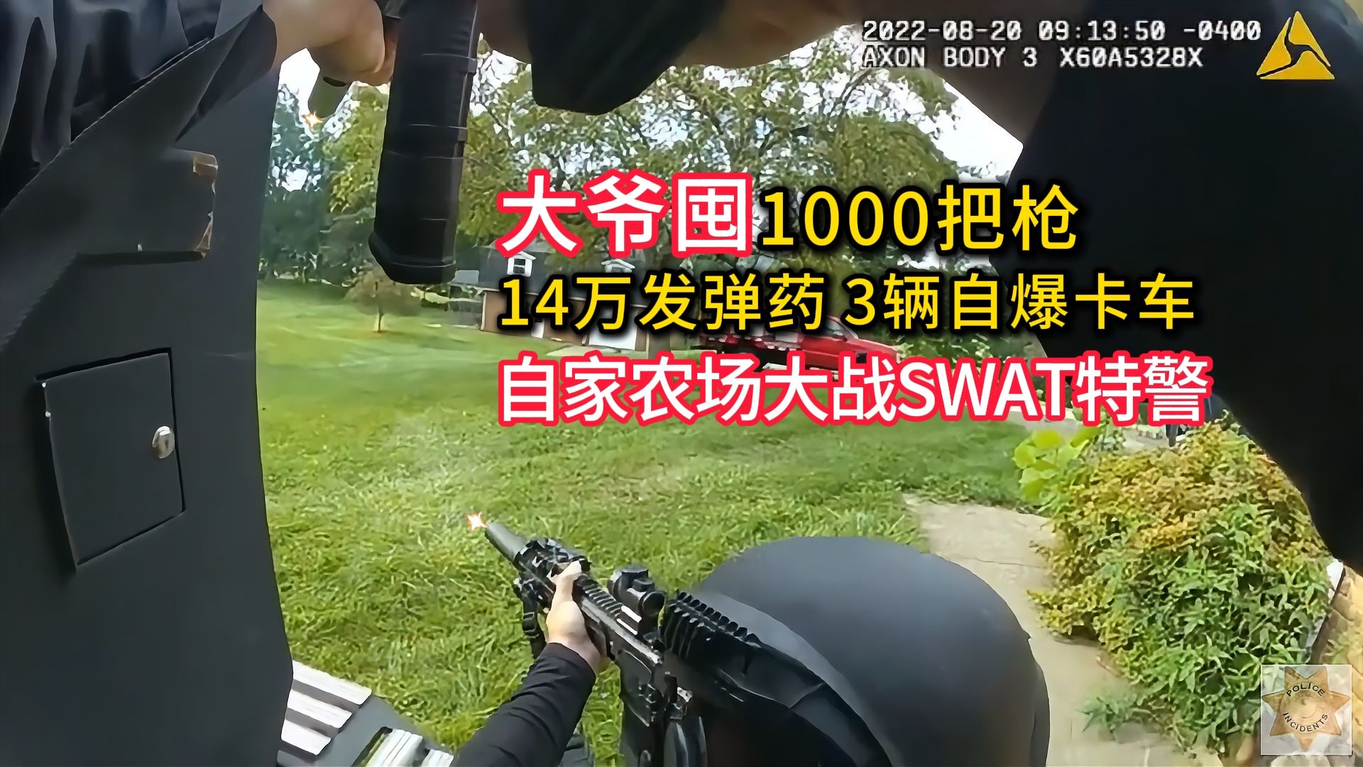 爱看热闹的大鹏