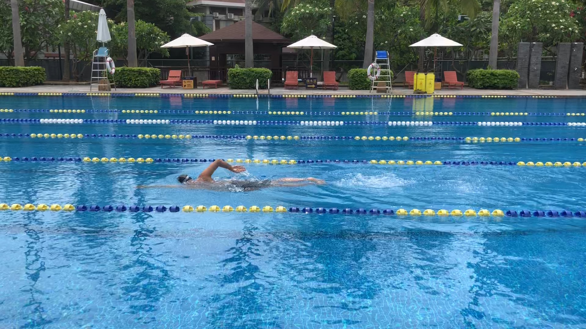 自由泳50米全程（一）