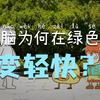 如果全世界的人都喜欢绿色