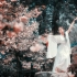 【超唯美】中国舞群舞《千古》单色舞蹈导师团队视频