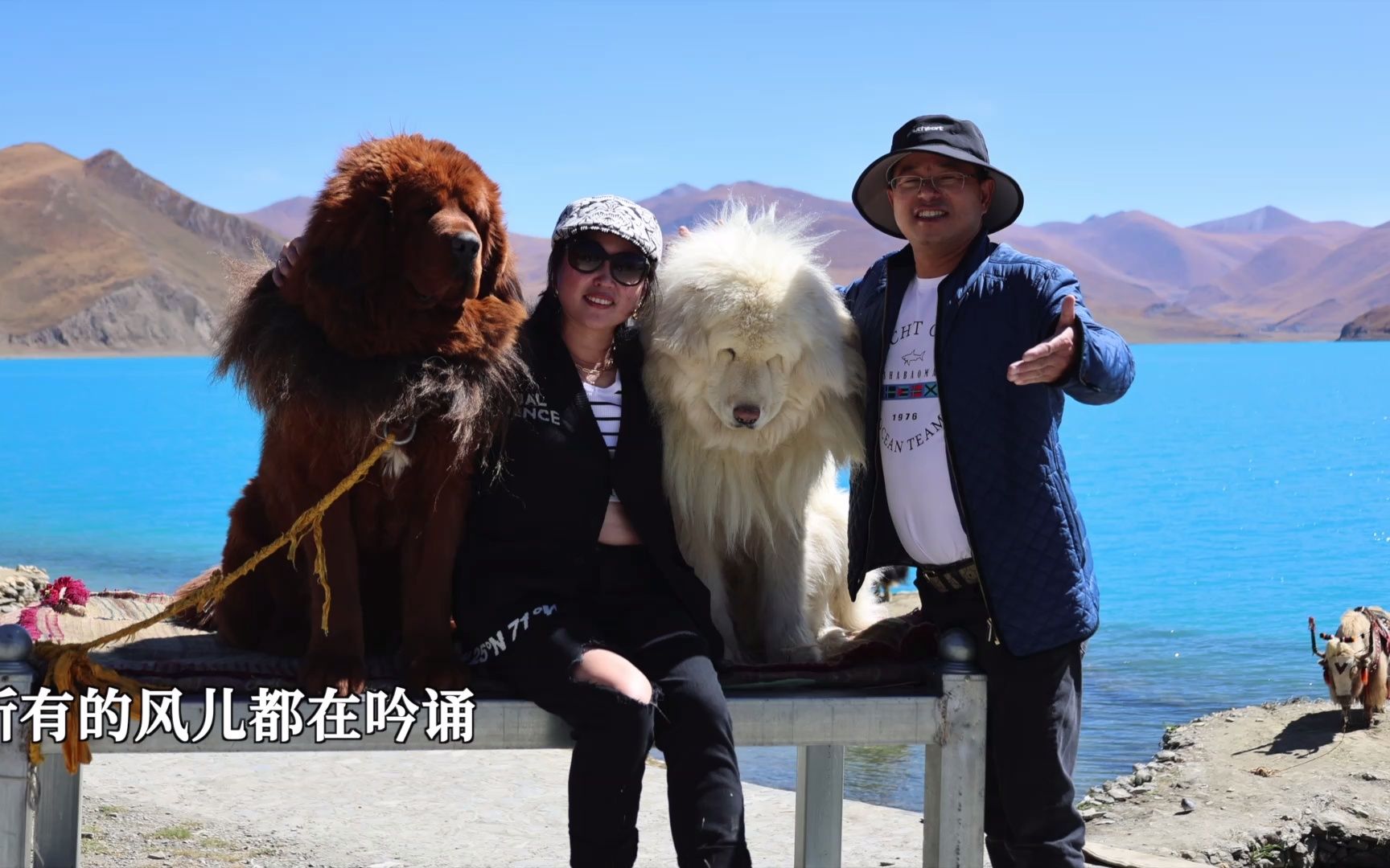我和你永远在一起mv郑剑泽