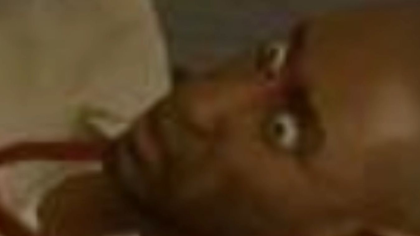 ⚡哎👆哎👇哎👈哎👉呀！⚡